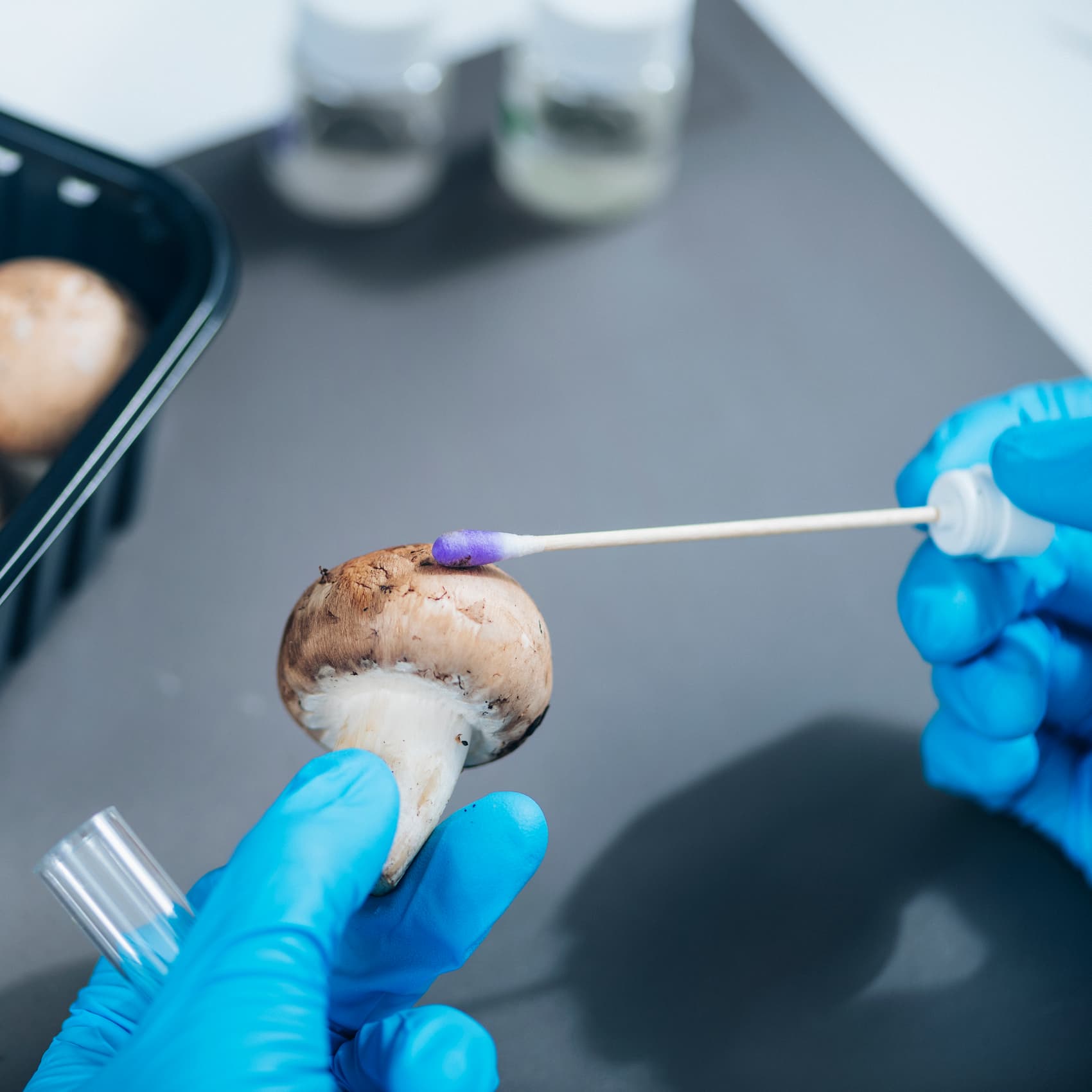 food-safety-pesticide-analysis-of-mushrooms-in-lab-FURCBSG