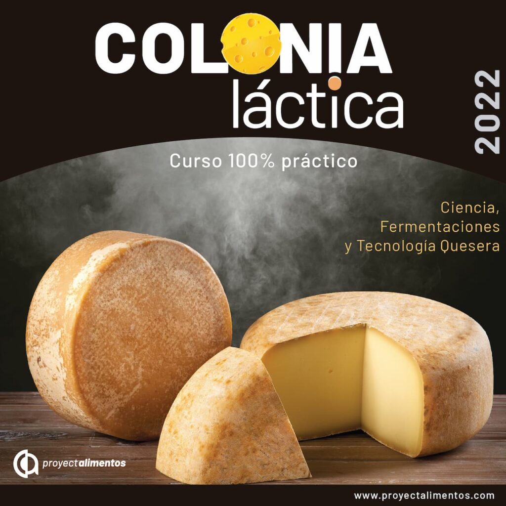 #Colonialactica2 #Proyectalimentos #Cursoquesos #Quesosmadurados #ErnestoToalombo